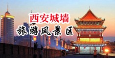 嫩穴高清无码125p中国陕西-西安城墙旅游风景区